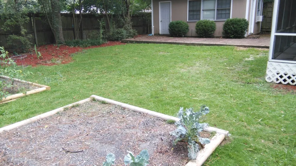 Expert landscaping services experts serving North Augusta, SC - Americas Finest Lawn Care