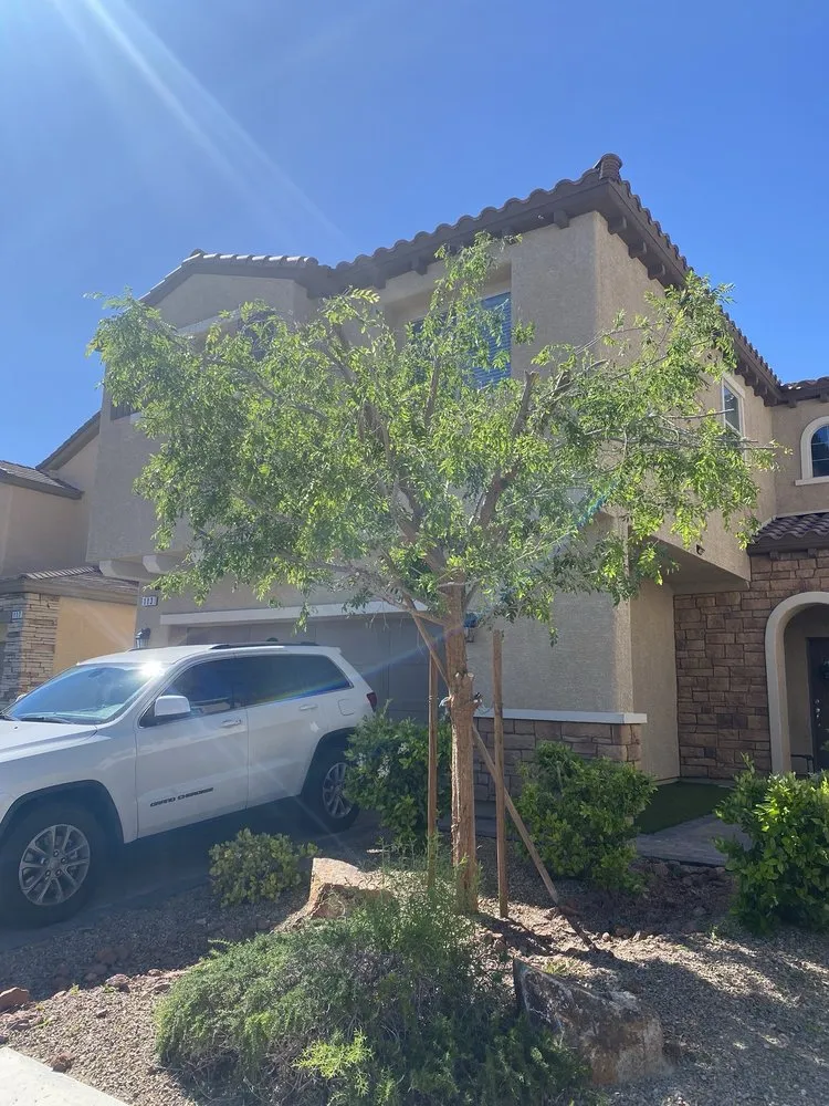 Professional landscape installation in Las Vegas, NV by America's Gardening Services