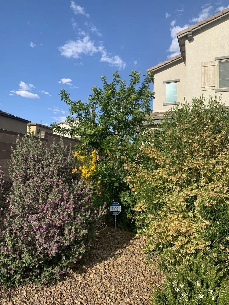 Affordable landscape design for beautiful yards across Las Vegas, NV - America's Gardening Services