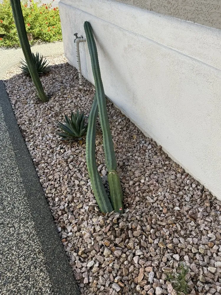 Custom outdoor landscaping for outdoor upgrades across Las Vegas, NV - America's Gardening Services