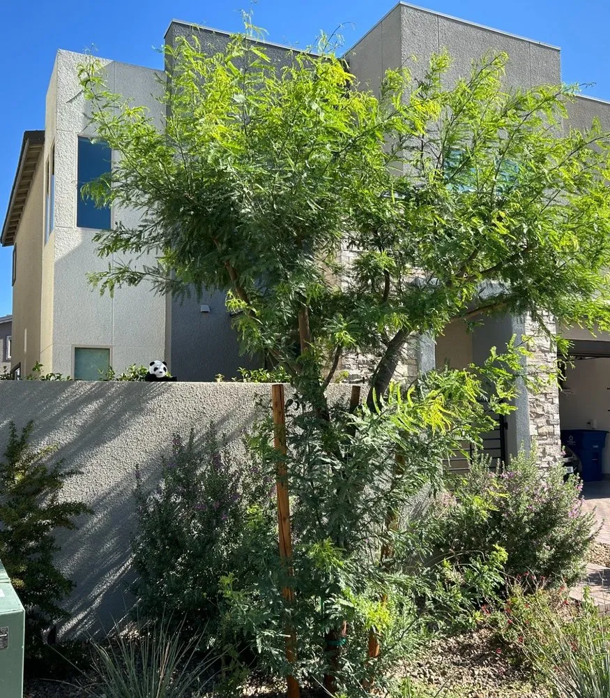 Professional garden landscaping near you in Las Vegas, NV by America's Gardening Services