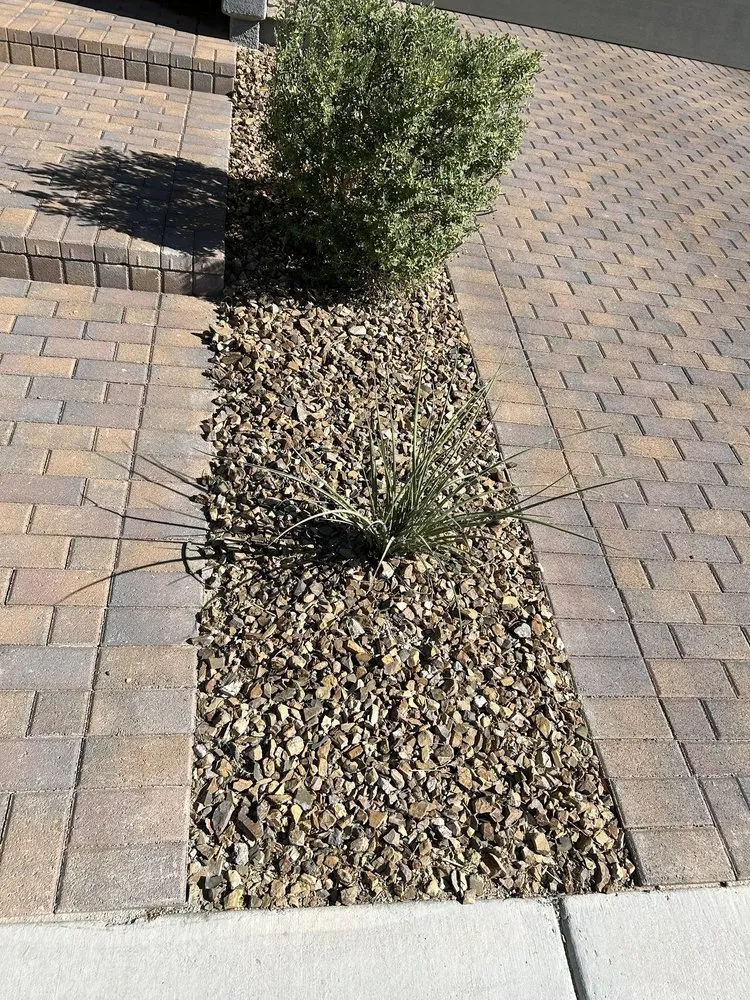 Top-rated residential landscaping in Las Vegas, NV - America's Gardening Services