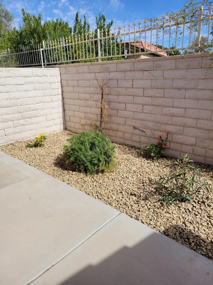 Affordable landscape design for beautiful yards in Las Vegas, NV by America's Gardening Services
