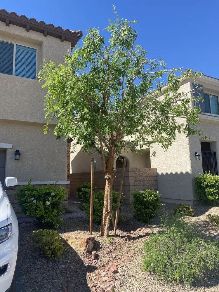 Custom outdoor landscaping in Las Vegas, NV by America's Gardening Services