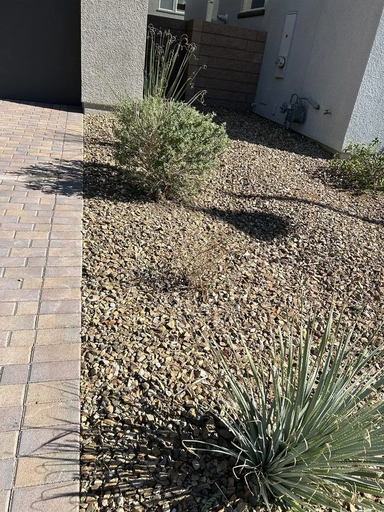 Local landscaping services for outdoor upgrades in Las Vegas, NV by America's Gardening Services