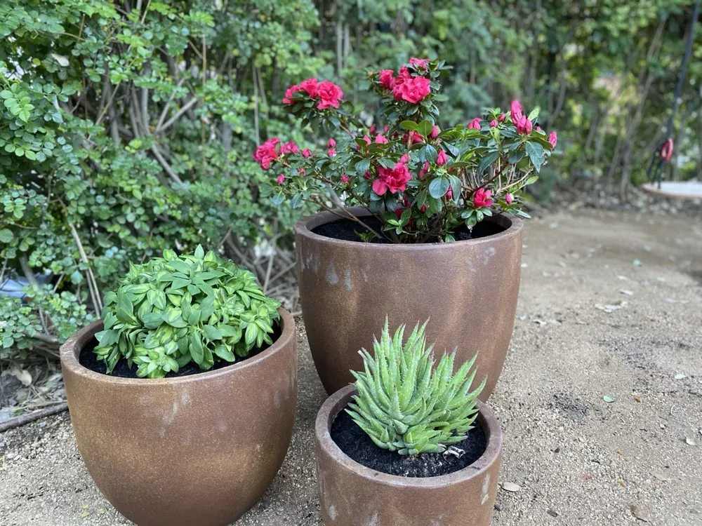 Custom lawn care service for year-round maintenance in Riverside, CA by America's Irrigation & Landscaping