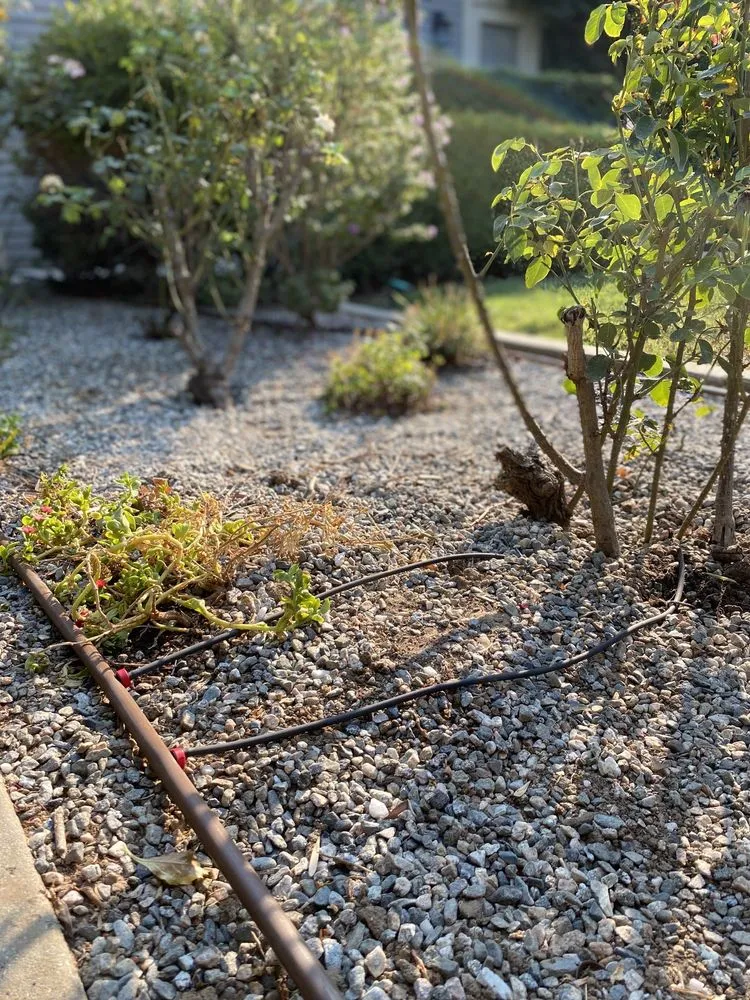 Local lawn mowing service in Riverside, CA by America's Irrigation & Landscaping