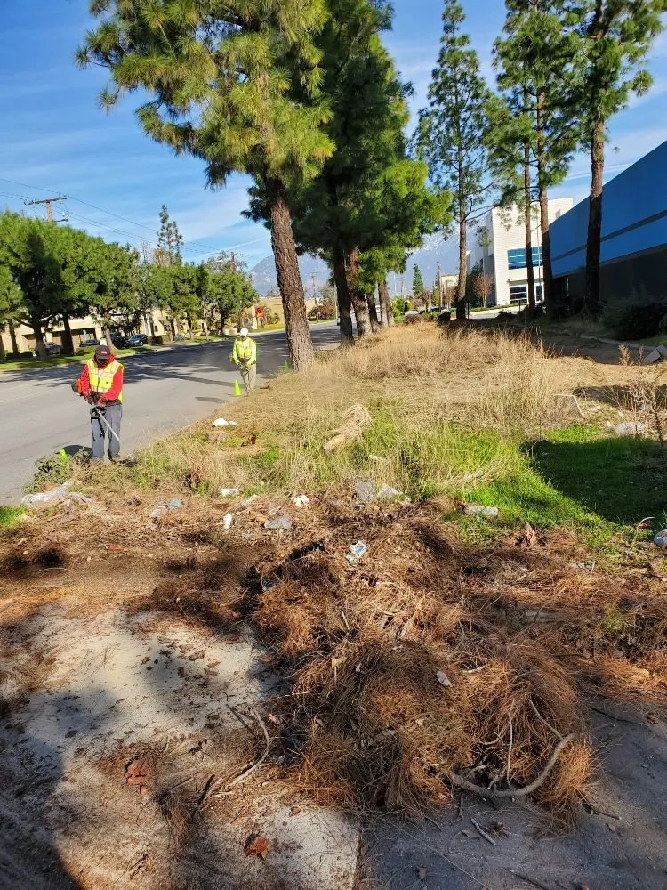 Expert garden landscaping in Riverside, CA by America's Irrigation & Landscaping