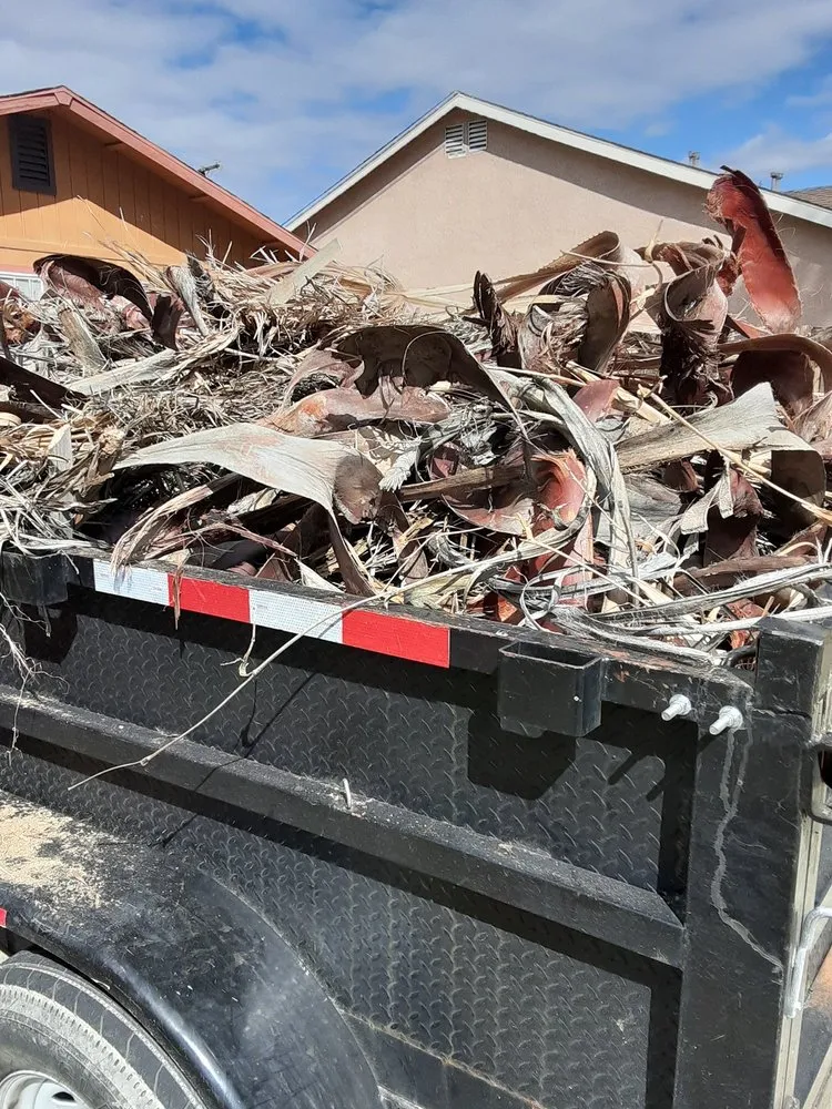 Trusted lawn care service in Riverside, CA - America's Irrigation & Landscaping