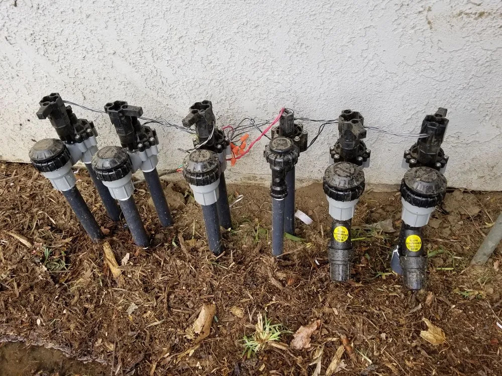 Custom landscaping services for year-round maintenance in Riverside, CA by America's Irrigation & Landscaping