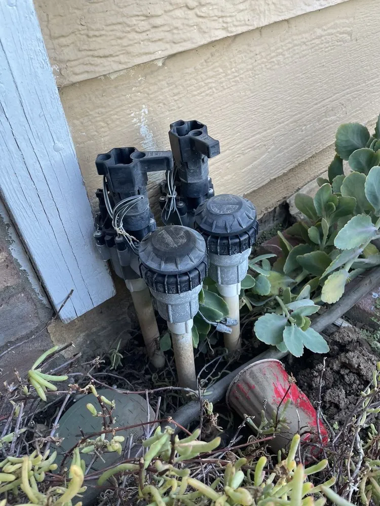 Custom outdoor landscaping in Riverside, CA - America's Irrigation & Landscaping