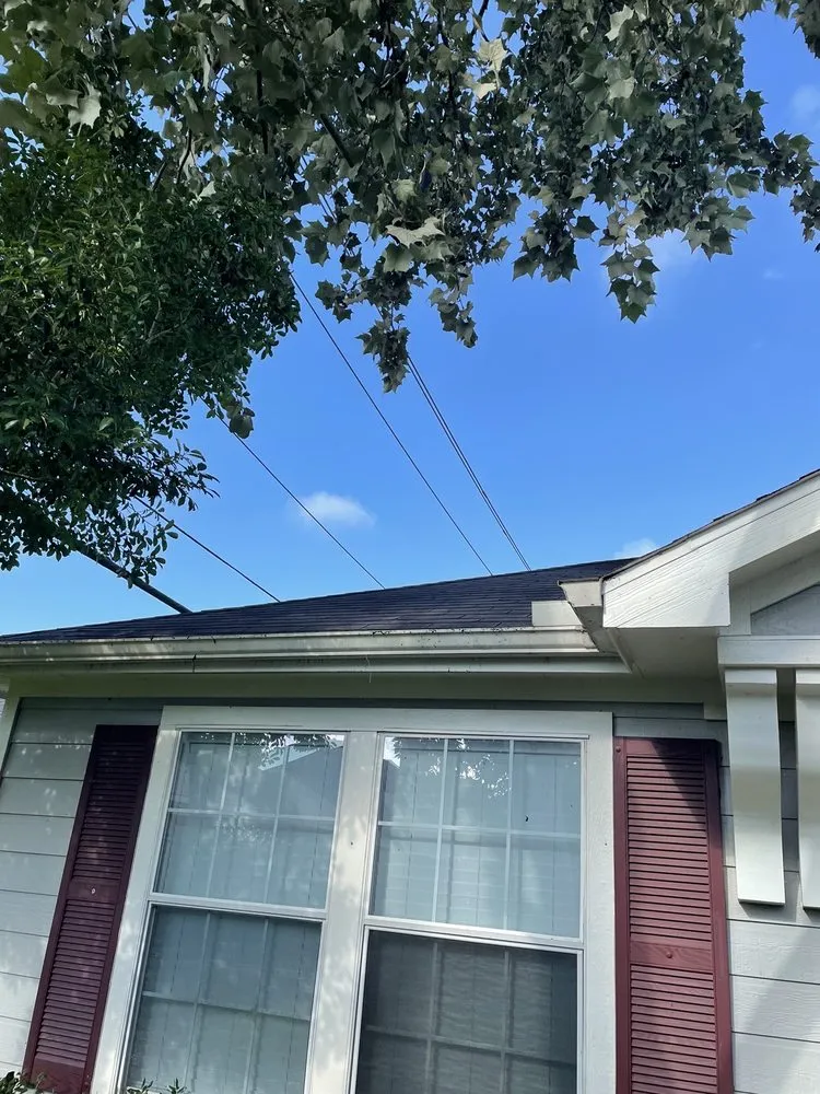 Expert garden landscaping with custom design in Spring, TX by America’s Landscape