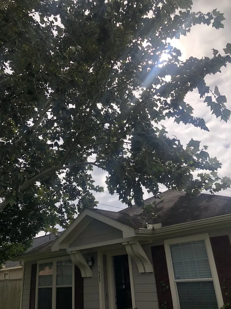 Local landscape installation for residential properties across Spring, TX - America’s Landscape