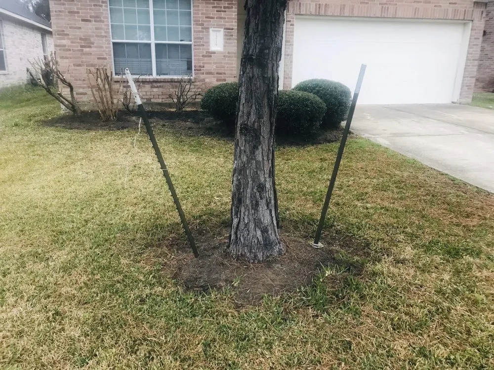 Reliable yard maintenance near you in Spring, TX by America’s Landscape