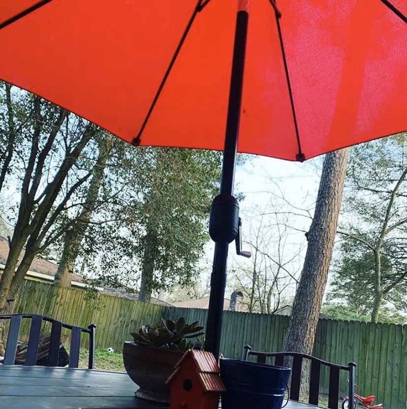 Custom yard cleanup service experts serving Spring, TX - America’s Landscape