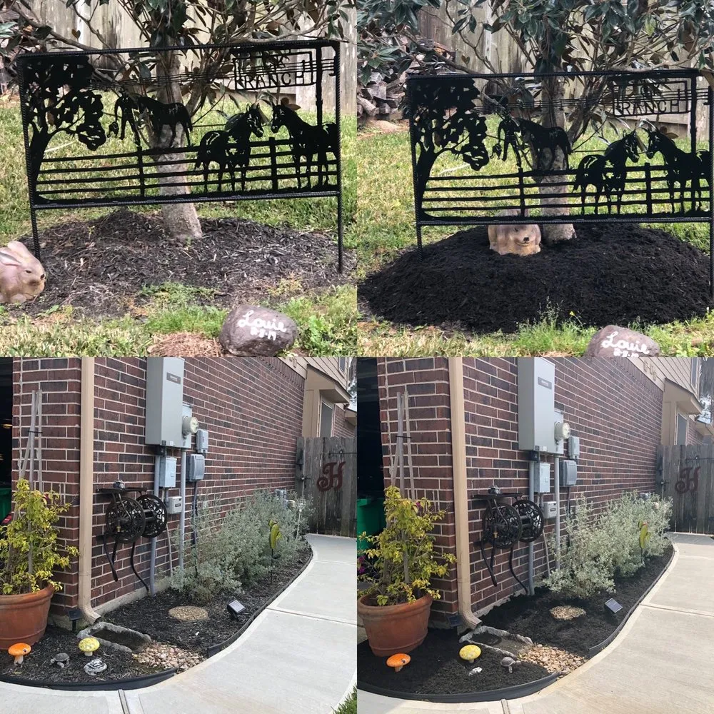 Reliable yard cleanup service in Spring, TX - America’s Landscape