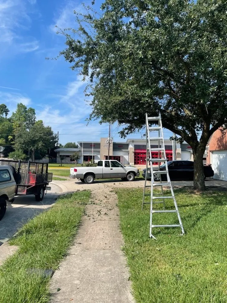 Professional landscaping services in Spring, TX - America’s Landscape