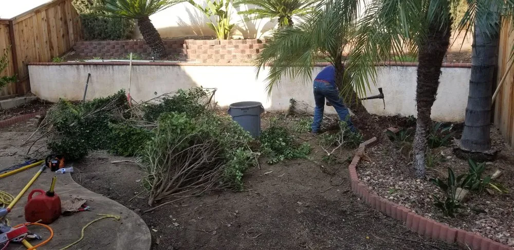 Top-rated lawn care service in Costa Mesa, CA by America's Landscaping