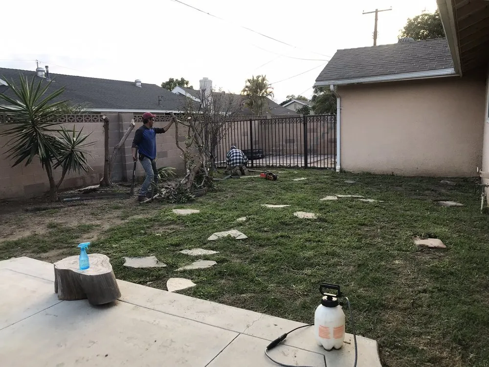 Expert lawn care service in Costa Mesa, CA - America's Landscaping