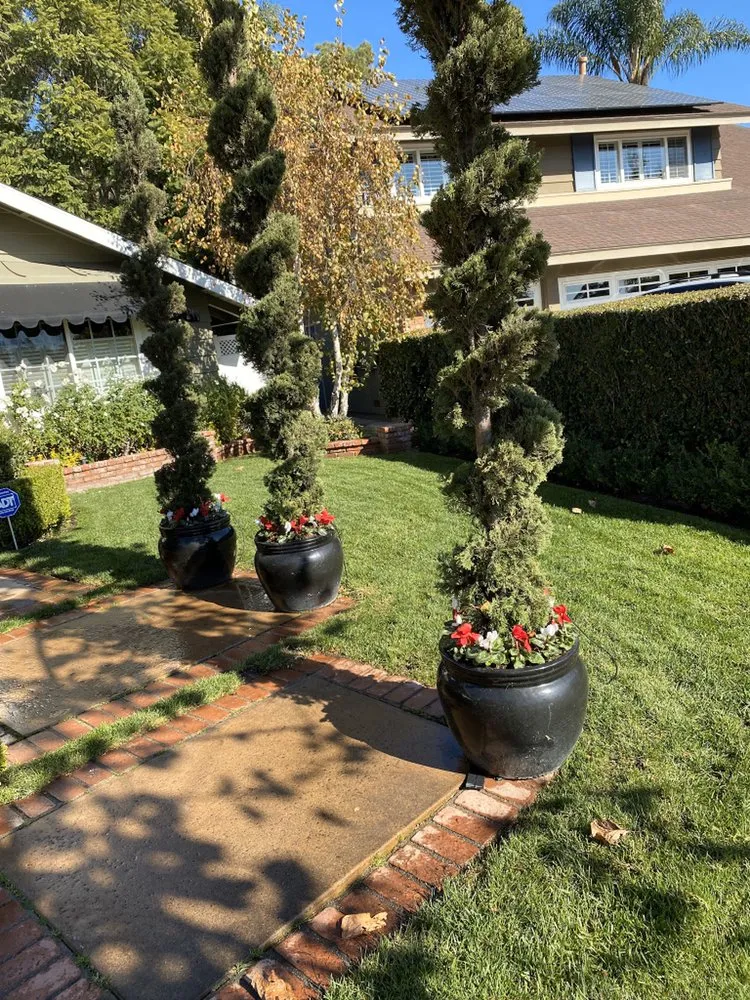 Reliable outdoor landscaping in Costa Mesa, CA by America's Landscaping