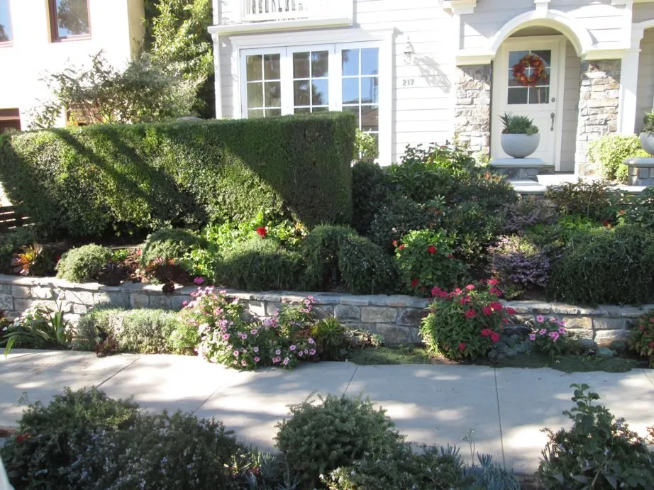 Professional yard cleanup service in Costa Mesa, CA by America's Landscaping