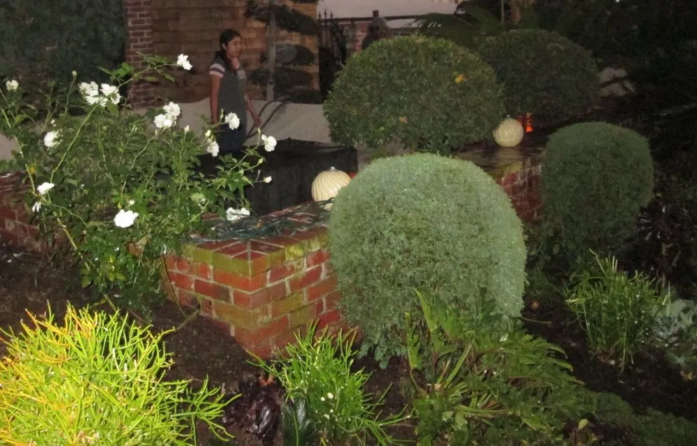 Trusted outdoor landscaping for year-round maintenance across Costa Mesa, CA - America's Landscaping