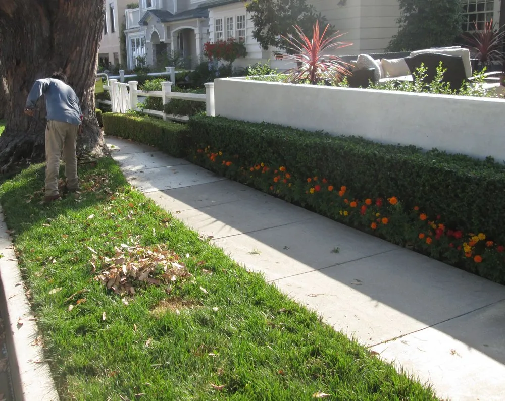 Top-rated landscaping services for year-round maintenance in Costa Mesa, CA by America's Landscaping