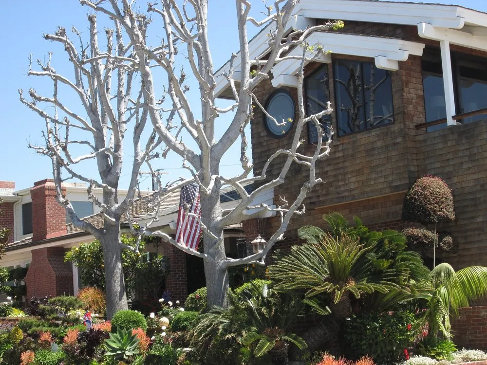 Expert residential landscaping in Costa Mesa, CA - America's Landscaping