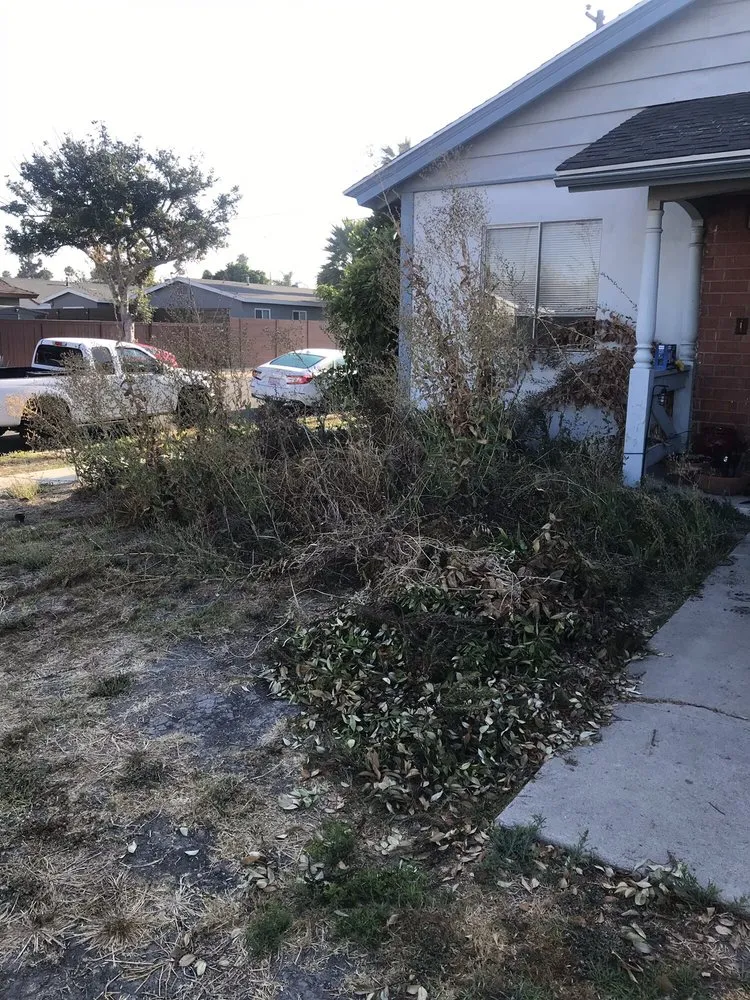 Custom outdoor landscaping for homes in Costa Mesa, CA by America's Landscaping