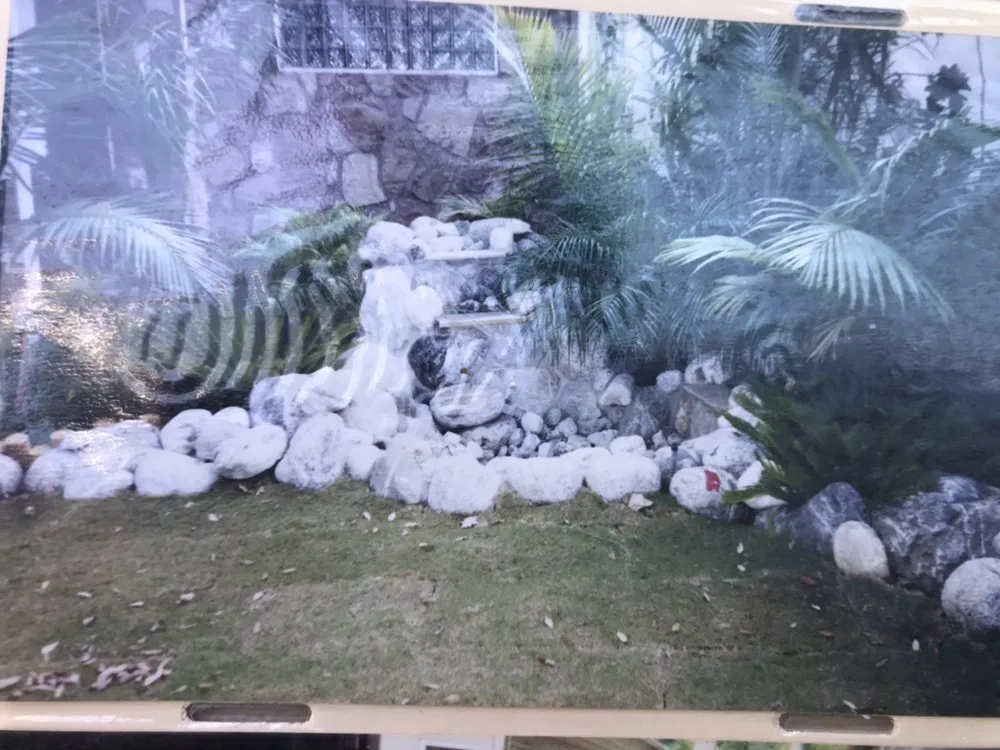 Custom lawn mowing service in Costa Mesa, CA - America's Landscaping