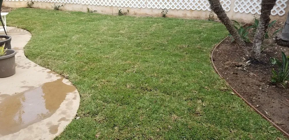 Affordable landscape installation in Costa Mesa, CA by America's Landscaping