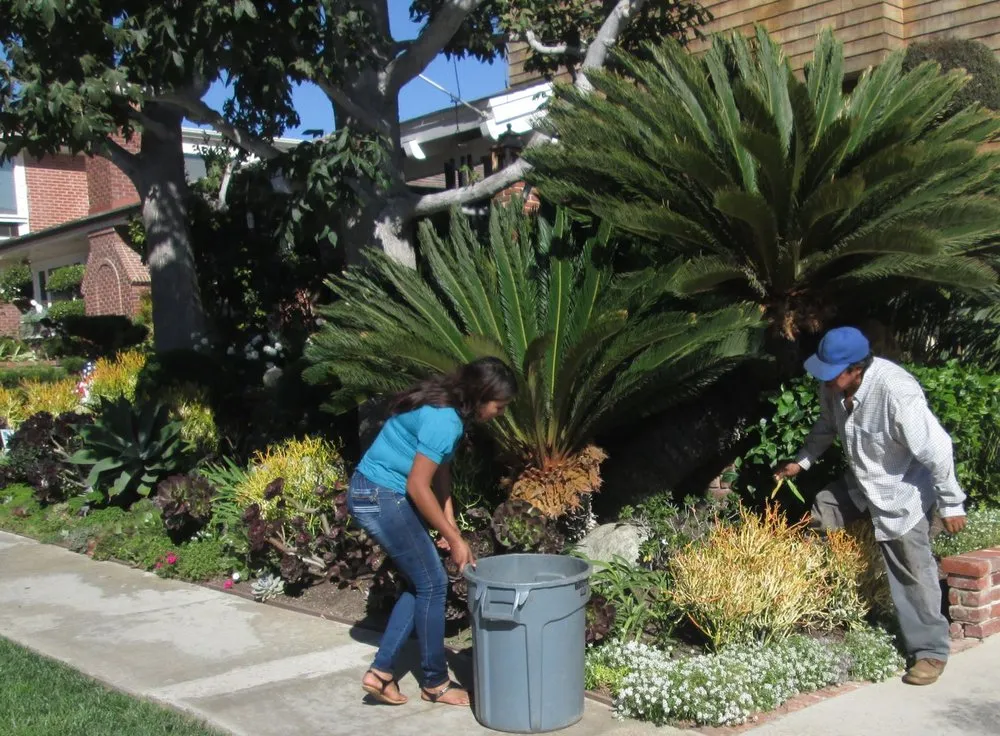 Top-rated residential landscaping with custom design in Costa Mesa, CA by America's Landscaping
