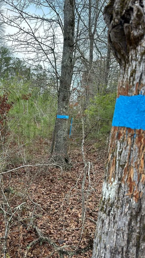 Professional landscape design experts serving LaGrange, GA - Americas Southern Services