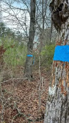 Americas Southern Services Logo