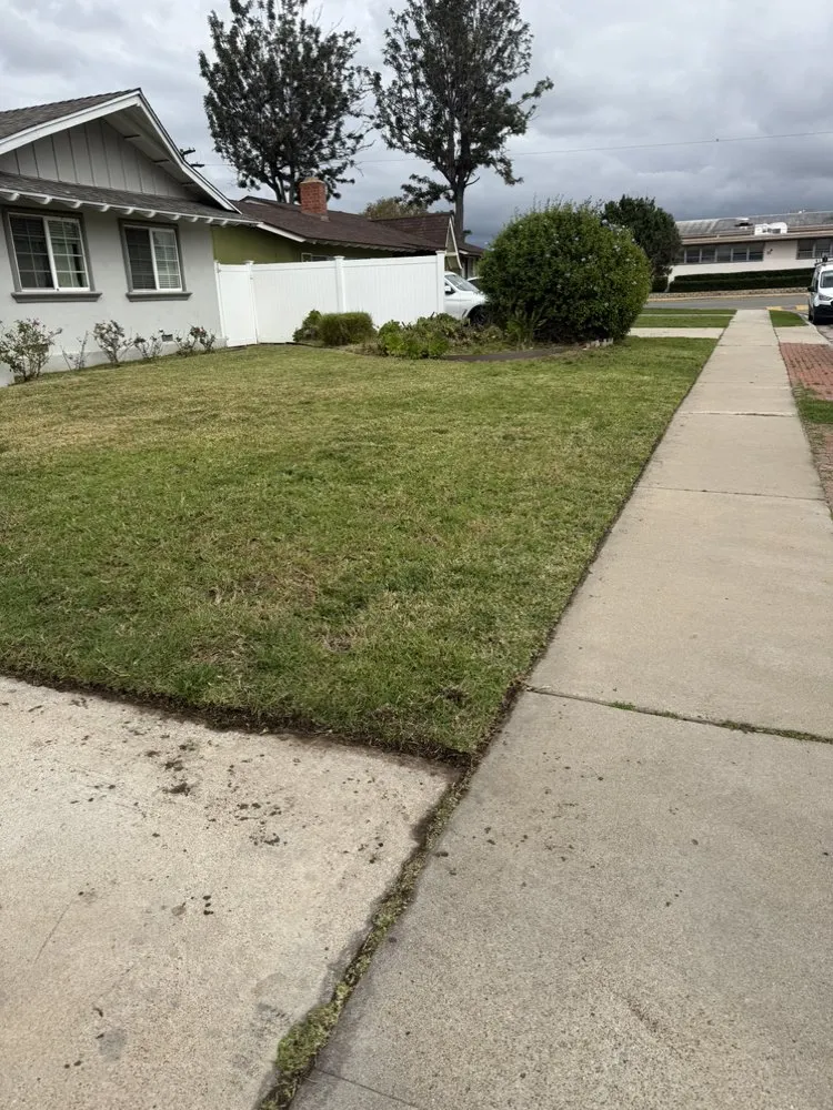Affordable residential landscaping experts serving La Jolla, CA - Americas Top Lawn Care