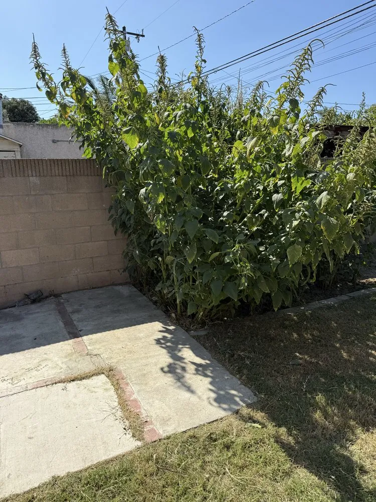 Top-rated landscape installation in La Jolla, CA - Americas Top Lawn Care