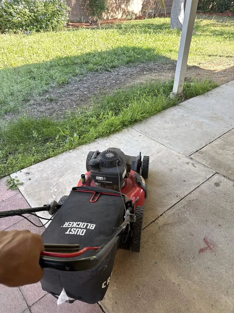 Expert garden landscaping with custom design in La Jolla, CA by Americas Top Lawn Care