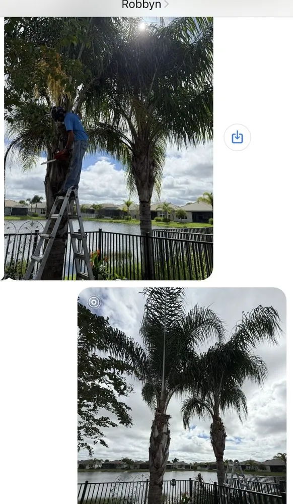 Top-rated outdoor landscaping with custom design across Port St. Lucie, FL - America's Top Notch Tree Service