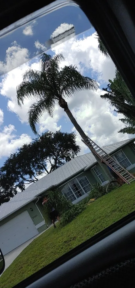 Expert lawn mowing service in Port St. Lucie, FL by America's Top Notch Tree Service