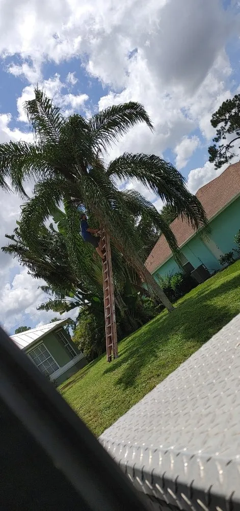 Top-rated outdoor landscaping in Port St. Lucie, FL - America's Top Notch Tree Service