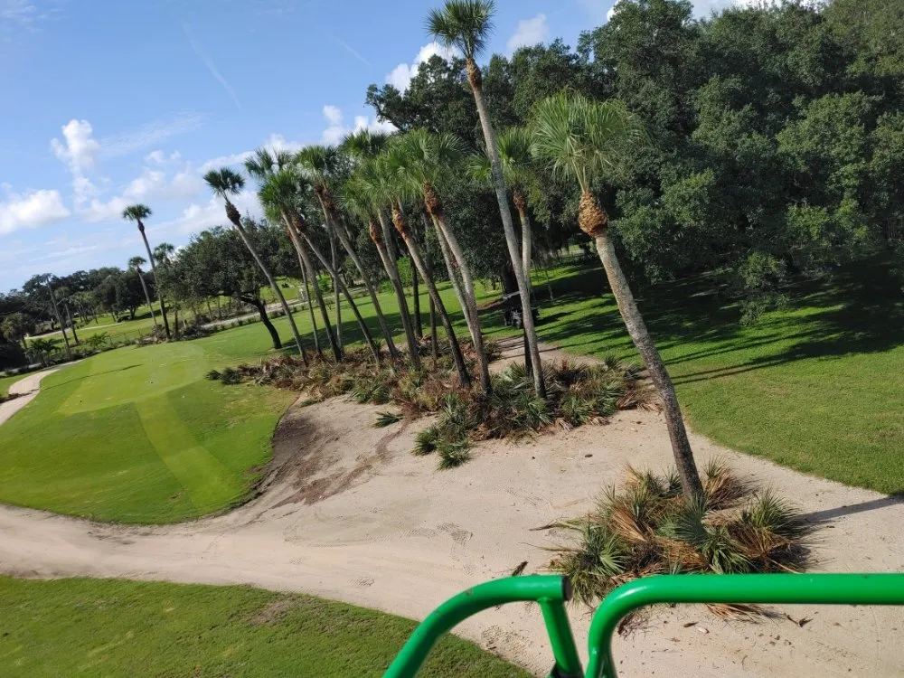 Top-rated yard maintenance in Port St. Lucie, FL by America's Top Notch Tree Service