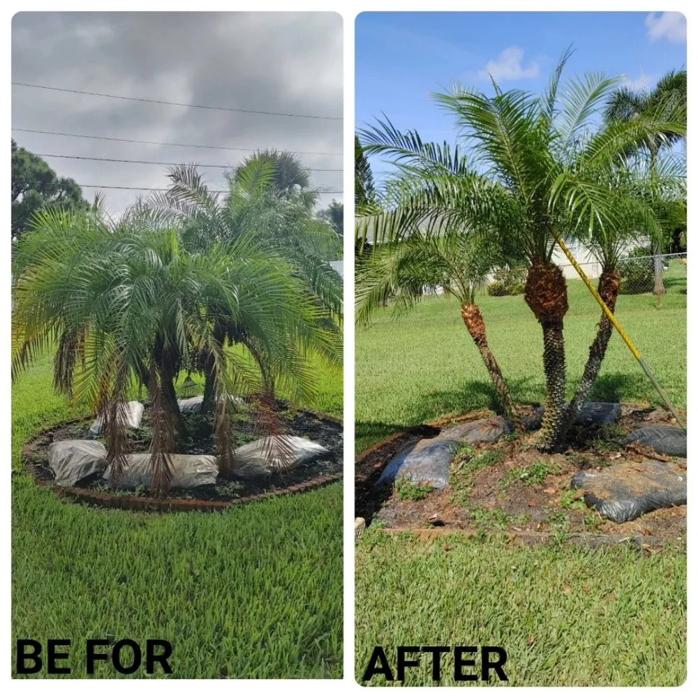 Affordable landscaping services experts serving Port St. Lucie, FL - America's Top Notch Tree Service