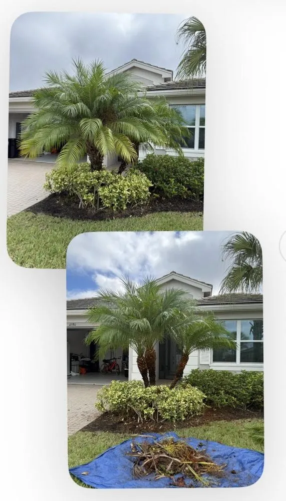 Affordable residential landscaping in Port St. Lucie, FL - America's Top Notch Tree Service