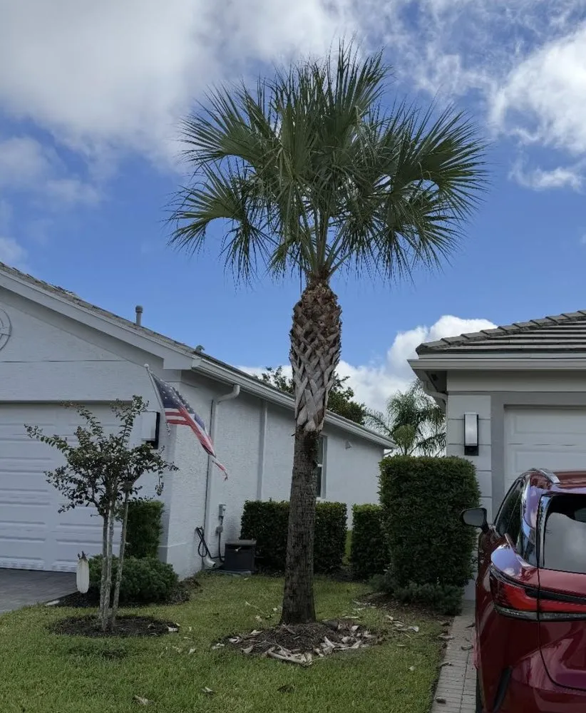 Expert yard cleanup service in Port St. Lucie, FL - America's Top Notch Tree Service