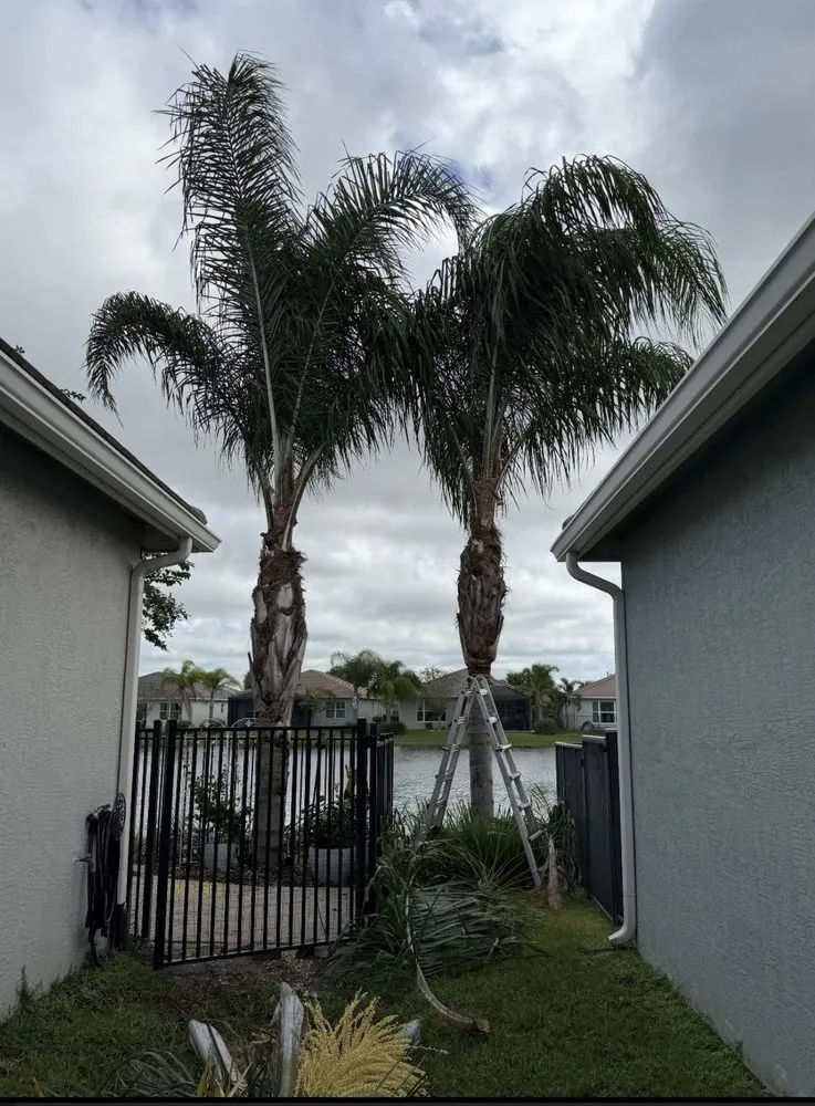 Expert residential landscaping for year-round maintenance in Port St. Lucie, FL by America's Top Notch Tree Service