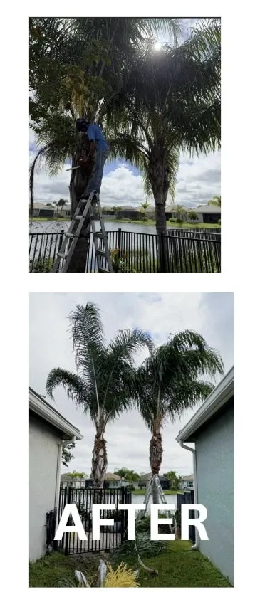 Custom residential landscaping for beautiful yards in Port St. Lucie, FL by America's Top Notch Tree Service