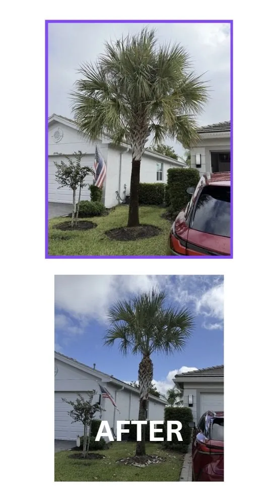 Expert garden landscaping in Port St. Lucie, FL by America's Top Notch Tree Service