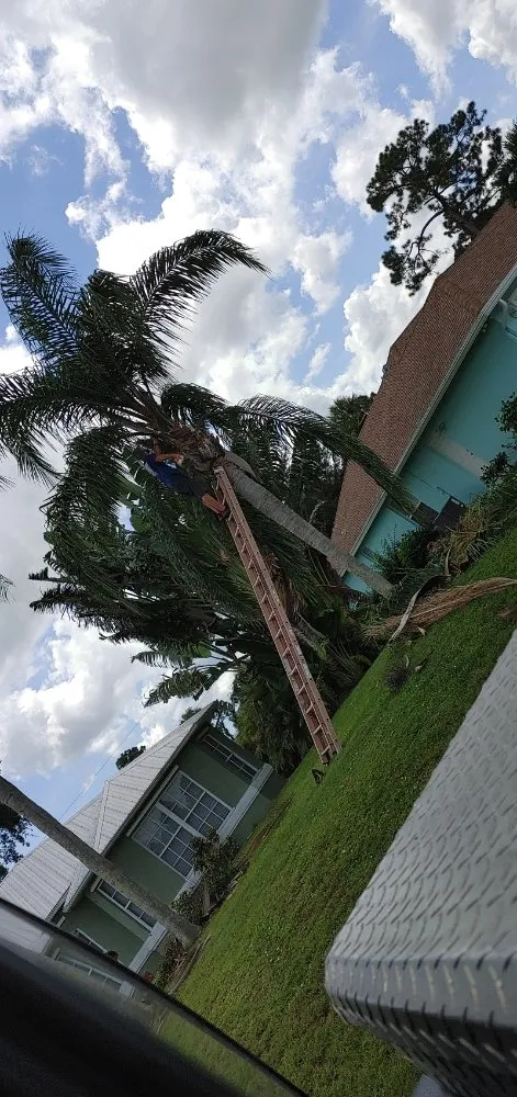 Trusted lawn mowing service in Port St. Lucie, FL by America's Top Notch Tree Service