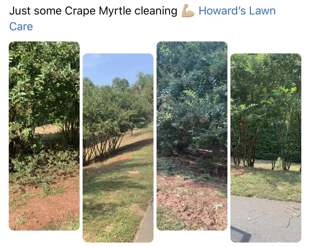 Local landscape design in Gastonia, NC by America’s Top Pick Lawn and Landscaping