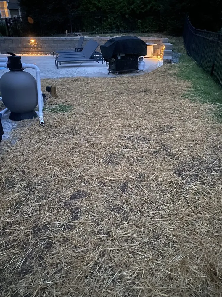 Professional outdoor landscaping experts serving Gastonia, NC - America’s Top Pick Lawn and Landscaping